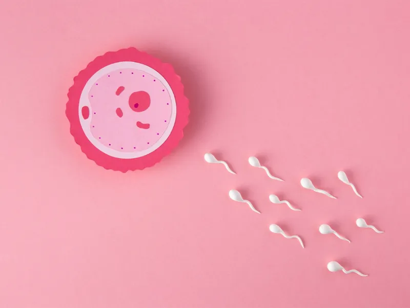 infertilite-kisirlik